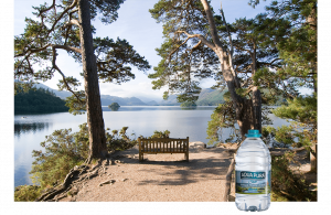 bench-under-trees-looking-out-on-a-lake-in-the-lake-district